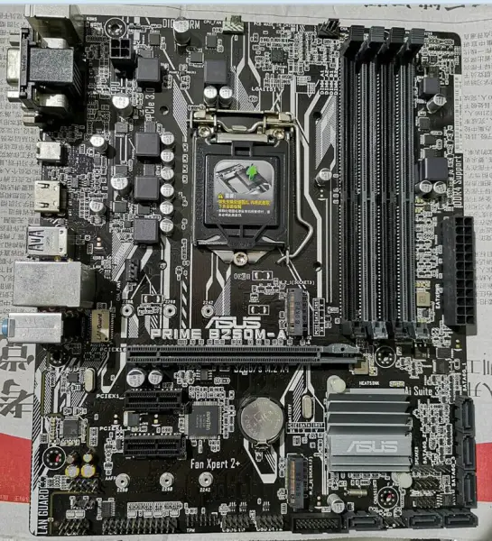 Płyta główna Asus PRIME B250M-A