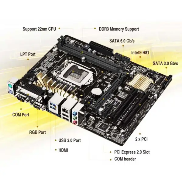 Płyta główna H81 dla Asus H81m-v3